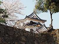 彦根
