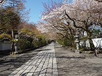 石山寺