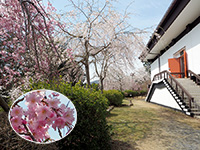 石山寺
