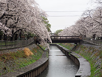 和田堀公園