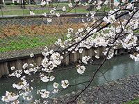 和田堀公園