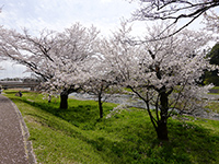 東雲公園