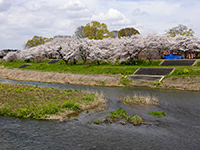 東雲公園