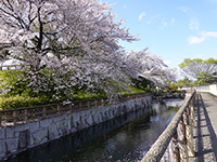 城址公園