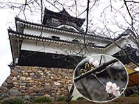 犬山城