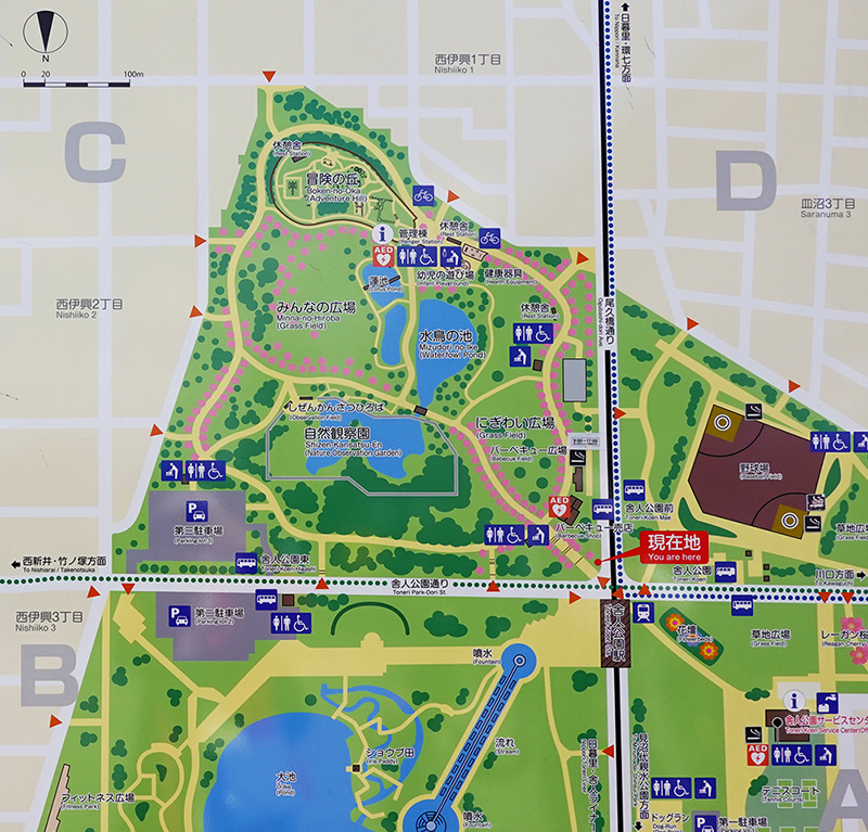 舎人公園地図