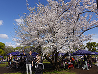 舎人公園