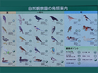 舎人公園