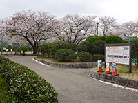 亀戸中央公園